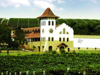 Purcari Winery