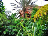 Snake house
