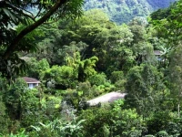 La Montana y el Valle Coffee Estate Inn 2*