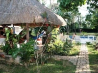 Bambu 