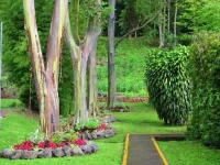 Bambito Resort 5*