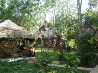 Posada Amazonas 2*