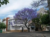 Oh Hostel Rosario 
