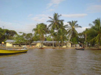 Myrysji