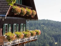 Der Klugbauer 3*