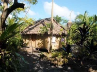 Jungle Oasis Bungalows 