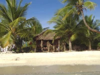 Fatutu Bungalows 