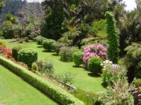 Aucklands Waitakere Estate 4*