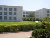 Les Andalouses 