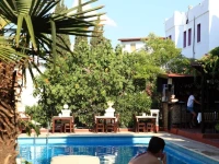 Paloma Hotel  3*