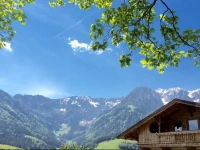 Ferienwohnungen Steindlhof 