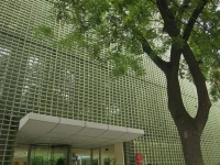 Kapok 