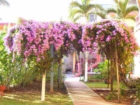St. Christopher 4*
