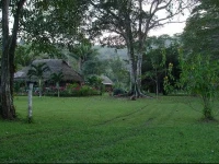 Mama Noots Jungle Resort 3*