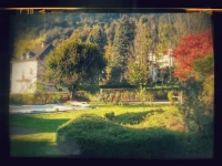 Lichtblick 