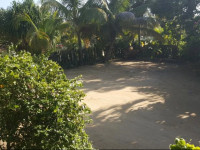 Jungle Huts Lodge