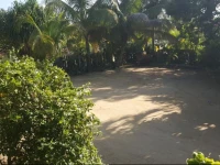 Jungle Huts Lodge 3*