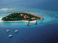 Vivanta by Taj Coral Reef 5*