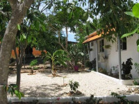 Ontdek Aruba
