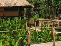 Cotton Tree Lodge 4*