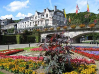 Sanglier Des Ardennes