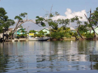 Kingfisher Tarpon Caye Lodge