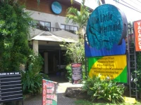 The Little Mermaid Resort 2*