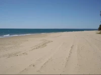 By the Seaside 