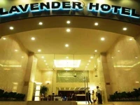 Lavender 3*