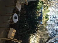 Albion Motel Hotel 4*