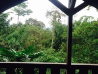 Casa Divina Lodge 1*