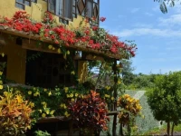 Casa del Lago Hotel 