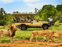 Honeyguide Tented Safari Camps 