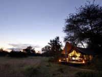 Rhino Walking Safaris