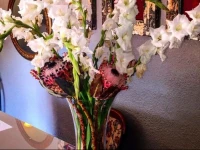 Duke & Duchess Boutique Hotel 4*