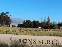 Saronsberg Vineyard Cottages 4*