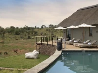 Mhondoro Game Lodge 