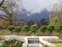 Au dHex Estate 