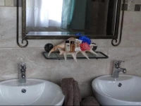 Isle La Breeze Guest House 
