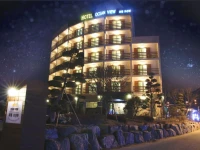 Incheon Airport Hotel Oceanview 3*