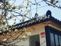 Misori Guesthouse