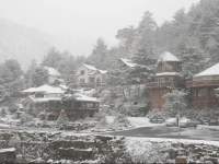 Four Seasons Pension 