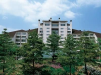 YongPyong Resort Tower Condo 5*