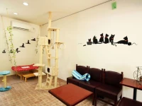 Kinugawa Kokusai Hotel 3*