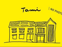 Tami 1*
