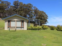 Cherryview Cygnet 