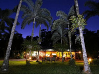 Lync Haven Rainforest Retreat