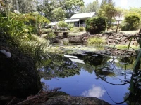 Bendles Cottages 