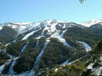 Winterhaus Lodge Thredbo Village 