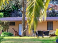 Hamilton Hume Motor Inn 